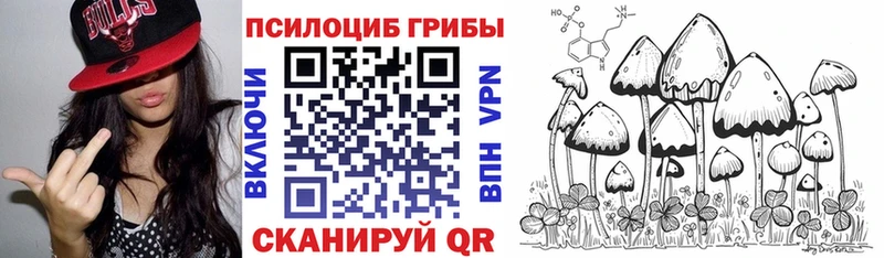 Псилоцибиновые грибы MAGIC MUSHROOMS  Купить где  Оса 